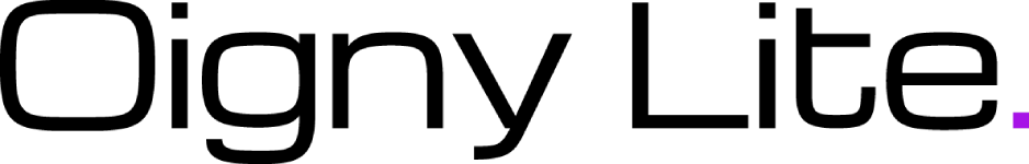 Santner IT Solutions & Consulting - 